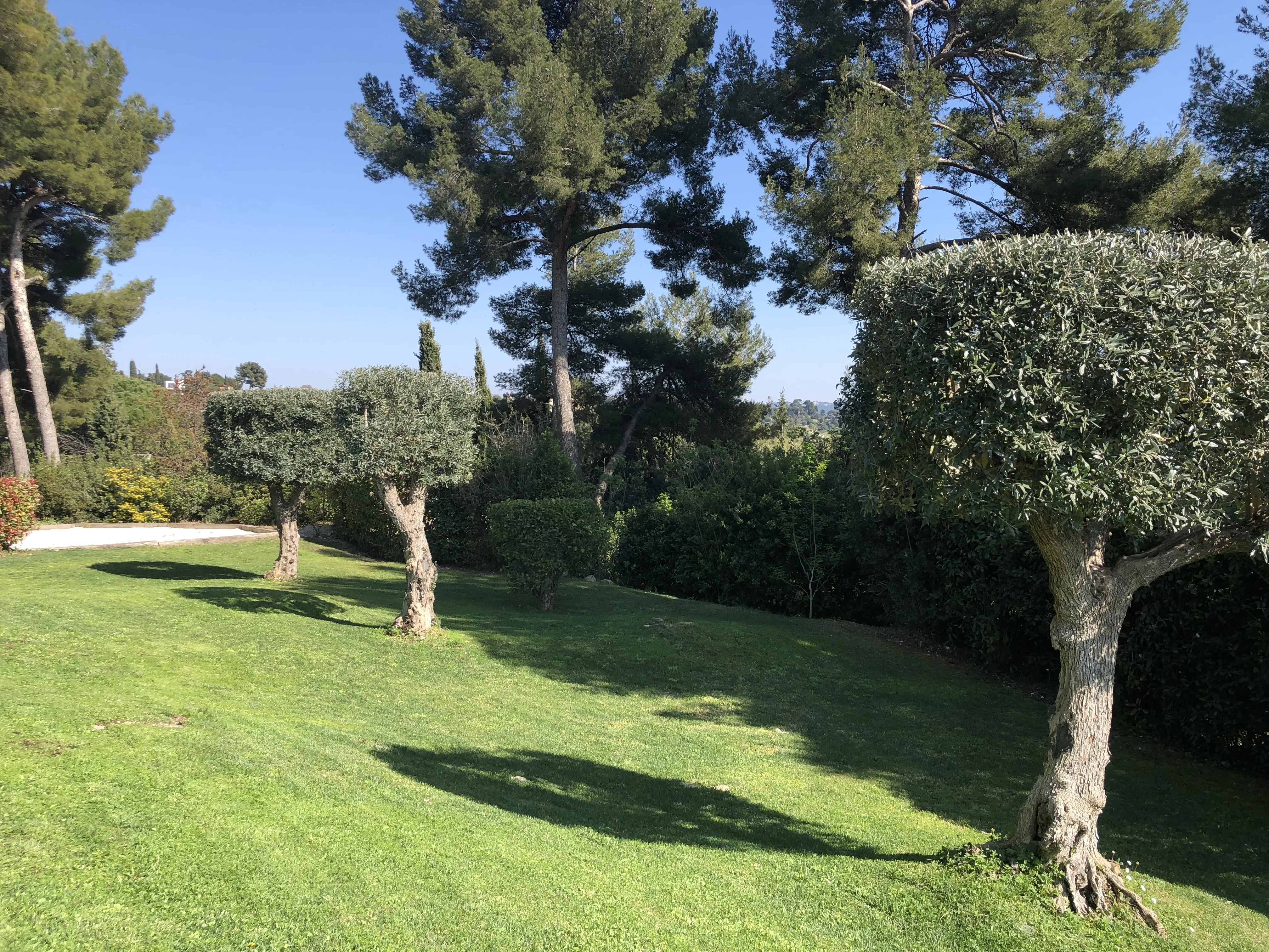 Photo d'une oeuvre finie